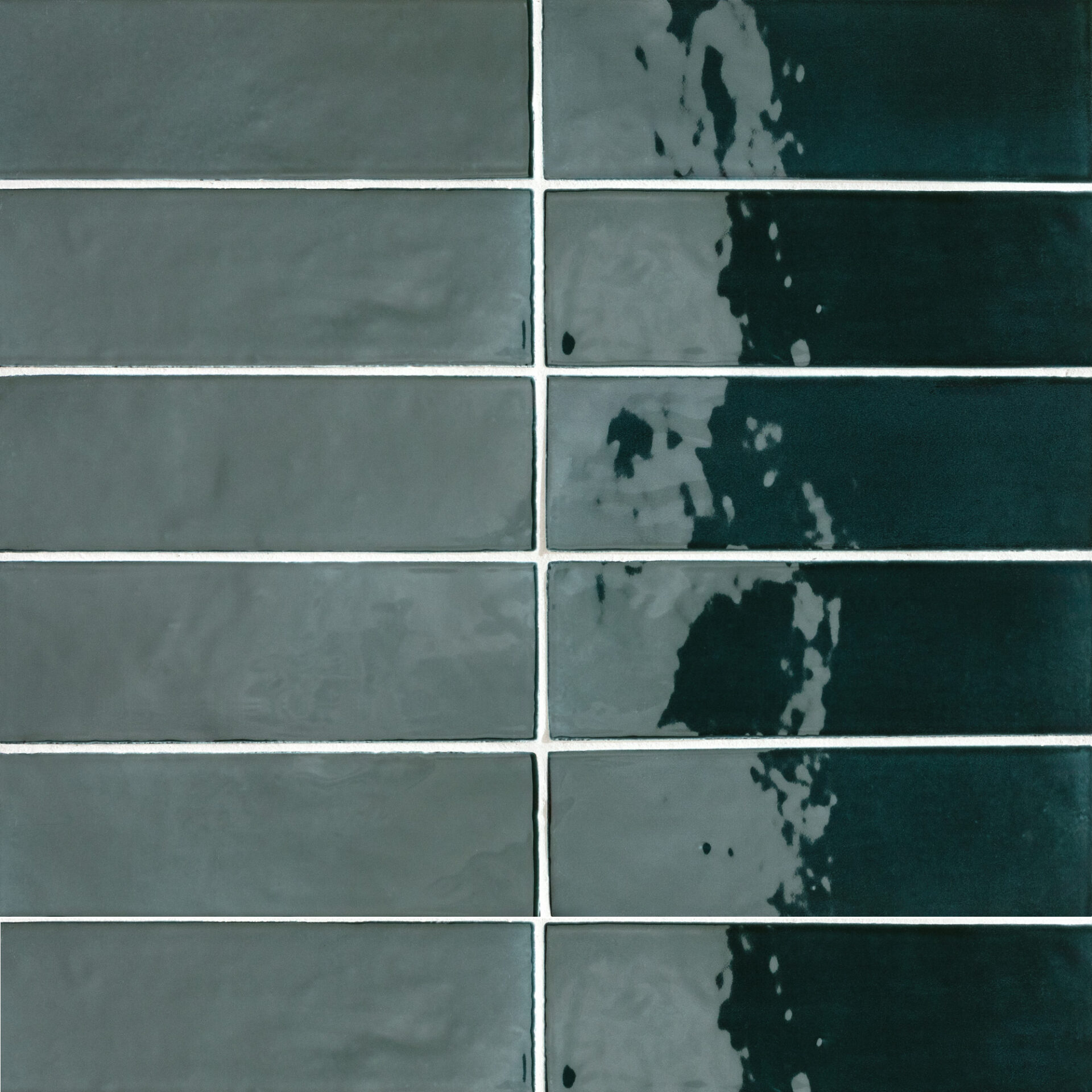 Forest Gloss