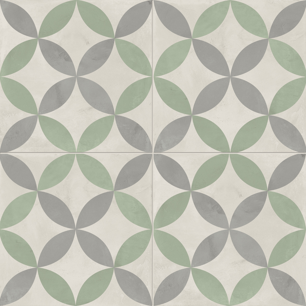 Gigio Menta Astro